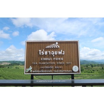 치앙마이/치앙라이 5일 태국북부하이라이트 아카팜뷰 감성가득 째즈바+까페 체험 맛집탐방 반나절 자유일정