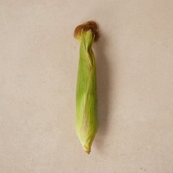 초당옥수수 (개)