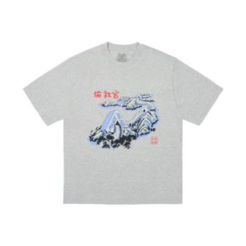 [해외] 팔라스 그레이트 월 오브 트라이나 티셔츠 그레이 말   24FW -_PAL-GRWAOF