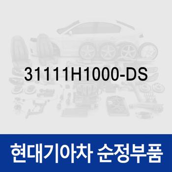 튜브-흡입 (31111H1000-DS)