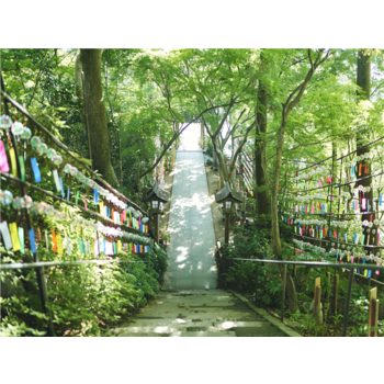 [출발확정][힐링산책큐슈] 후쿠오카/유후인/벳부/구마모토 4일(신상온천호텔+월드체인+호텔식+술음료무제한) JKE602ZERB