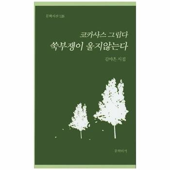 코카사스 그립다 쑥부쟁이는 울지 않는다 김야흔 시집