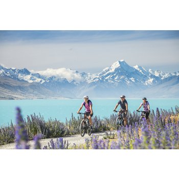 [실시간] 호주/뉴질랜드 남북섬 10일 4성급호텔 파라다이스밸리 레드우드트리워크 밀포드사운드 블루마운틴 시닉월드3종콤보 디너크루즈 오페라하우스내부