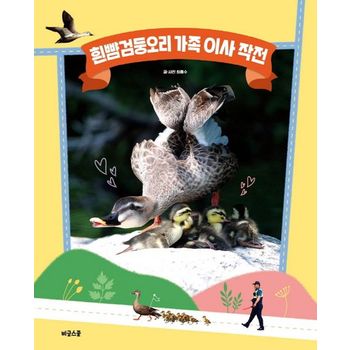 흰뺨검둥오리 가족 이사 작전