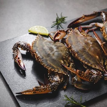 태안 가을 활 톱밥 꽃게 2kg (8미내외/톱밥포장/암수랜덤)
