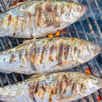 [해동찬가] 제철 돌아온 자연산 남해안 전어 구이용 1kg (500g 2팩)..[35377862]