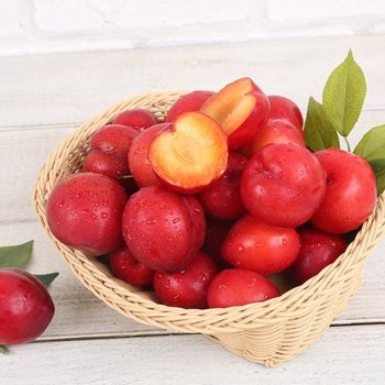 [오늘담은] 의성 옥자두 5kg 대과 / 개당 60g 내외 대석자두