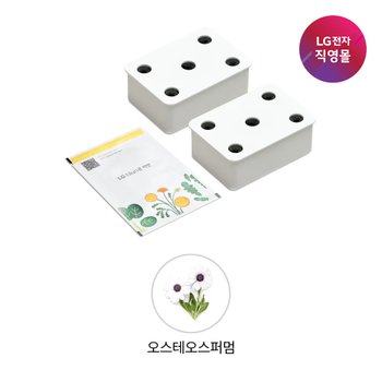 [신세계백화점][LG전자 직영][택배배송] 틔운 씨앗키트 LPM57 오스테오스퍼멈 (미니 호환)