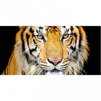 대형 호랑이 그림 그리기 명화 명화 홈갤러리 diy명화 명화그리기 유화그리기 diy페인팅