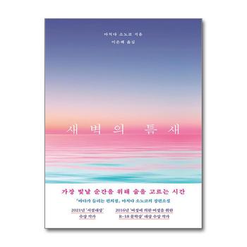 새벽의 틈새 - 마치다 소노코 소설 책