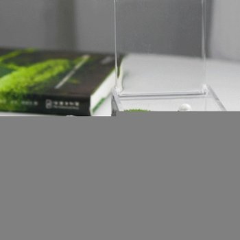 (색상 투명케이스6x6x3)미니어항 베타 투명 케이스 치즈 보관 6x6x3