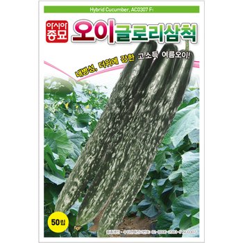 씨앗 오이 글로리삼척 400립