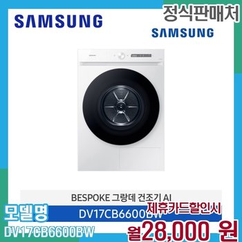 삼성 비스포크 그랑데 AI 건조기 17kg 대용량 DV17CB6600BW 60개월 41000