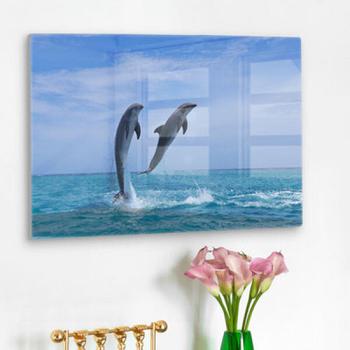 아트박스/꾸밈 da239-폼아크릴액자58CmX38Cm_날아오르는돌고래