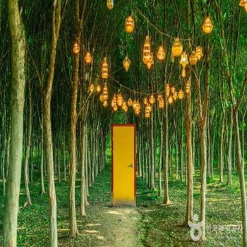 [최소출발인원2명]*[서해금빛열차+예산관광택시]아름다운 예산 아그로랜드+예산시장