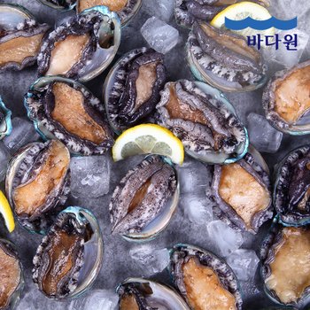 바다원 산지직송 완도 활전복 1kg (12-13미 내외) 싱싱한 전복