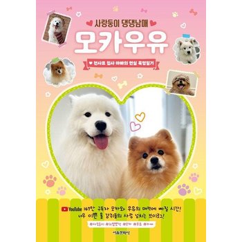 사랑둥이 댕댕남매 모카우유 - 천사표 집사 아빠의 현실 육멍일기