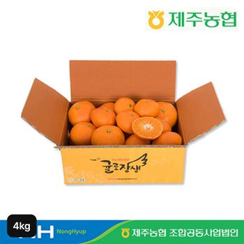 제주농협 귤로장생 레드향 4kg[35704494]