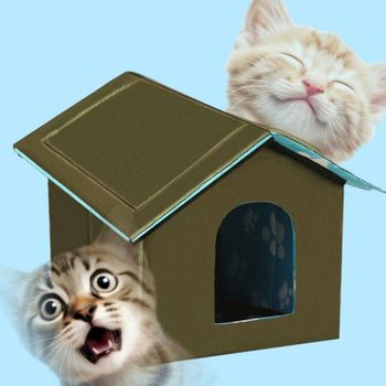 길냥이 밥집 급식소 하우스 고양이