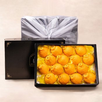 [SSG상품권증정이벤트][바로배송/고급보자기무료포장]제주 한라봉 과일선물세트 특품(5kg 12-18과)