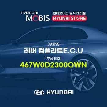 레버 컴플리트E.C.U (467W0D2300OWN)