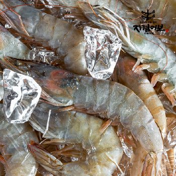 국산 자연산 대하(암새우) /1kg 14~17미/국산