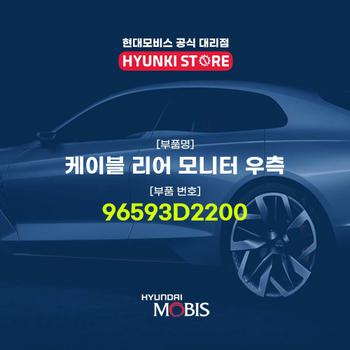 케이블 리어 모니터 우측 (96593D2200)
