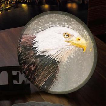 아트박스/꾸밈 nx196-LED액자25R_아름다운깃털의조류