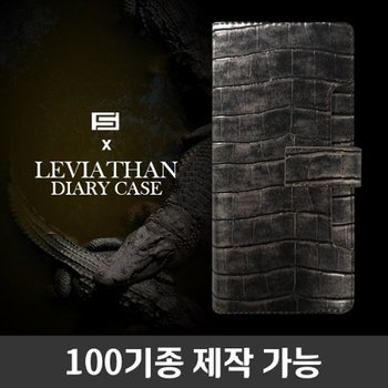 케이스 100기종 카드수납 스터핀 다이어리 레비아탄 종합 외부