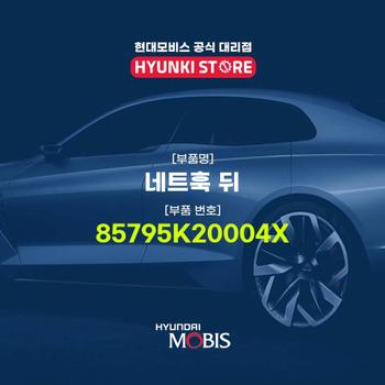 네트훅 뒤 (85795K20004X)