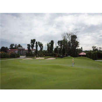 [다색골프/나콘파톰/무제한] 나콘파톰 골프 5일 실속3색/석식포함/가성비  ATG101VZH5