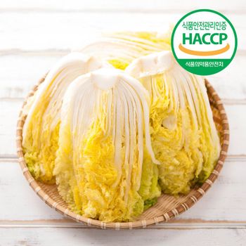 HACCP 해남 명품 절임배추 20kg / 해남산 천일염 100% 국내산재료사용 / 절인배추..[36075128]