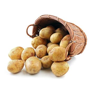 포슬포슬 맛있는 감자 10kg 중[34265557]