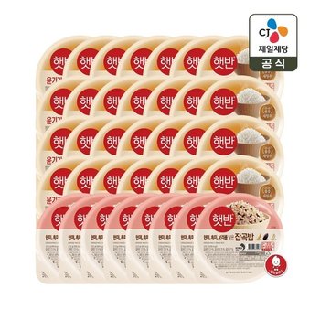 햇반 윤기가득 쌀밥 210g x28개+잡곡밥 210g x8개