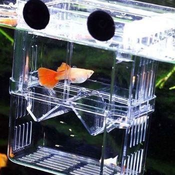 베타부화통 배양구 케이스 어항속 작은케이스 분리통 중형