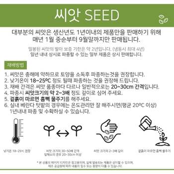 베하몰 텃밭 채소 씨앗 호랑이콩