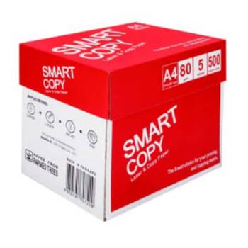 더블에이 스마트카피 A4 복사용지 80g 2500매 1박스 프린트 사무용지 에이포 더블A 07505