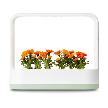 LG 틔운 L023M1 배송무료