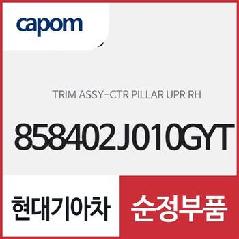 센터 필러 상부 트림,조수석쪽 (858402J010GYT) 모하비