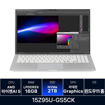 LG전자 LG그램 15Z95U-GS5CK 16GB 2TB 교체