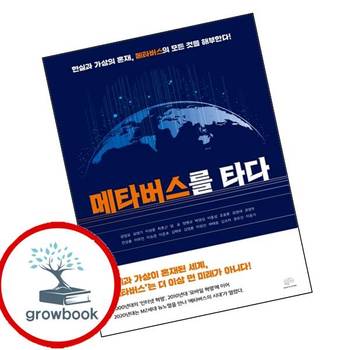 메타버스를 타다 메타버스를타다 책 브레인플랫폼