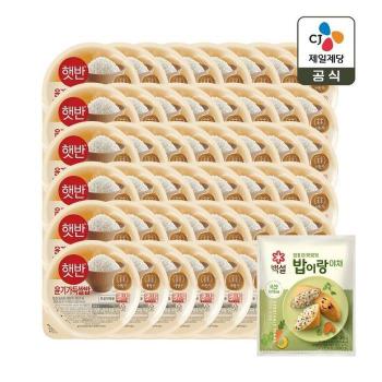 햇반 윤기가득 쌀밥 210g x48개+밥이랑 야채 1개 증정 (S50797956)