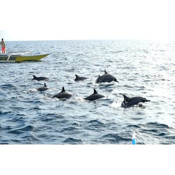 [슈퍼위크] 보홀 4/5 5성급 슬림 가성비 헤난 리조트 반나절자유 시내관광