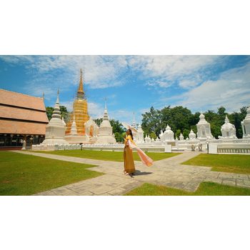 [초특가 핵심관광] 치앙마이+치앙라이 6일 (4성급호텔/전통안마/사원/매카찬족욕) BTP300TW6E