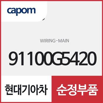 메인 와이어링 (91100G5420) 니로 하이브리드