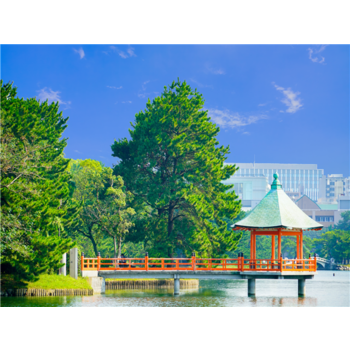 [여유로운 여름날, 큐캉스/노팁+노옵션] 후쿠오카/구마모토/다카치호/아소/벳부 4일(다카치호 협곡+시내1박+신상온천호텔2박+간식3종) JKP602TWST