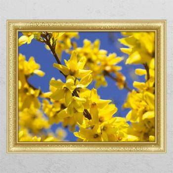 아트박스/꾸밈 pj790-만개한개나리_창문그림액자