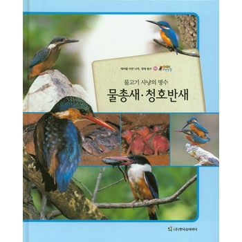 물총새 청호반새