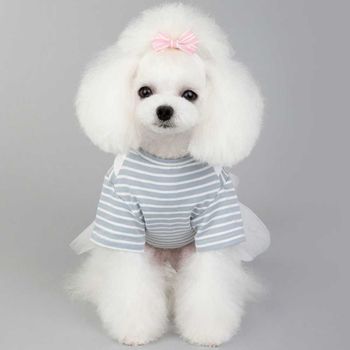 강아지 데일리 산책 패션 증멍사진 원피스 옷 스타일