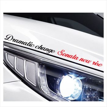 D24 TYS709S3 쏘나타호환 뉴라이즈 슬로건 로고 데칼스티커